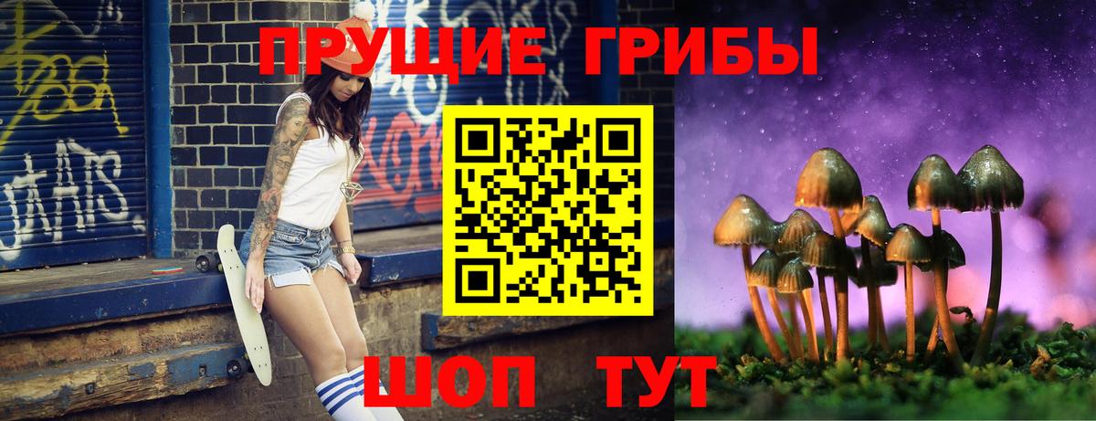Галлюциногенные грибы Cubensis  Псилоцибиновые грибы Psilocybe  Вход с VPN  хочу   Красноармейск 